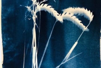 Kunstworkshops / Exkursionen / Offenes Atelier / Rückblick SJ 2022 /2023 
