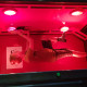 20240626_Technorama_55.jpg