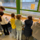 IMG-20250220-WA0029.jpg