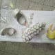 IMG_3712.jpeg