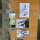 IMG_3726.jpeg