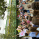 IMG_5320.jpeg